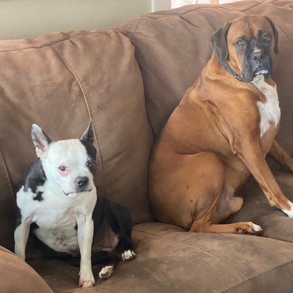 Meet your Posher, Alison - Picture 3 of 4